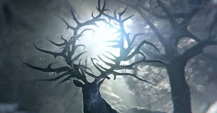 The easiest way to set up shadowing hours is to simply ask someone you know—perhaps someone in your family or a family friend (keeping in mind that you shouldn't plan to get a letter of recommendation from a family member). Shadow And Bone Review Netflix S Tv Adaptation Is Muddled And Joyless Vox