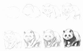 Panda Zeichnen Anleitung Dekoking Panda Zeichnung Panda Zeichnen Zeichnen Anleitung