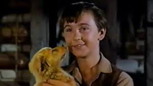 Tommy Kirk stars in Disney classic 'Old Yeller' from 1957