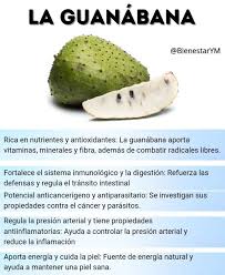 Sabías que la guanábana es mucho más que una fruta deliciosa para jugos? 🥤  Es una auténtica farmacia natural cargada de nutrientes y antioxidantes que  protegen tu cuerpo de forma integral. Si