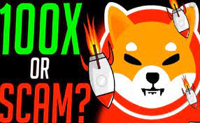 Shiba inu is the latest viral cryptocurrency to attract investor attention. Ø§Ø­ØªÙŠØ§Ù„ Ø´Ø¨Ø¹Ø§ Ø§ÙŠÙ†Ùˆ Ù‡Ø°Ø§ ÙƒÙ„ Ù…Ø§ ØªØ­ØªØ§Ø¬ Ø¥Ù„Ù‰ Ù…Ø¹Ø±ÙØªÙ‡ Ø¨Ø±Ø§Ù†Ø´