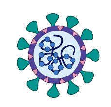 To create their vaccine, novavax researchers started with a modified spike gene. How The Novavax Vaccine For Covid 19 A Protein Subunit Vaccine Works Fancy Comma Llc