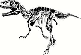 Image result for dinosaur divider