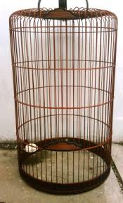 Check spelling or type a new query. Tips Memilih Dan Merawat Sangkar Burung Branjangan Om Kicau