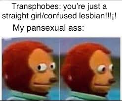 Heterosexual men's fantasy pansexual men's fantasy omemomyers. Pansexual Meme Pansexual