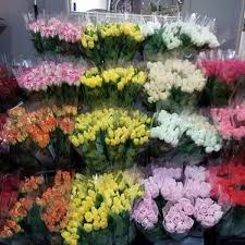 Check spelling or type a new query. Fresh Cut Flower Wholesalers Home Facebook