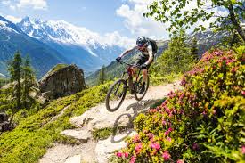 Encore appeler descente vtt ou vtt downhill (dh) en anglais, le vtt de descente est conçu avec divers critères importants. Nouveautes Vttae Moustache Bikes Saison 10 Moustache Bikes