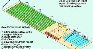 Small Scale Aquaculture Aquaponics Systems Designed Specifically For The First Time Fish Farmer Planet
