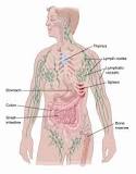 Image result for stanford v cancer treatment what to expect i was diagnosed