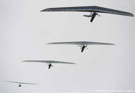 Image Detail For Hang Glider Squadron Hang Glider Gliders Hang Gliding