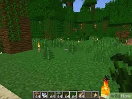 Check spelling or type a new query. How To Tame An Ocelot In Minecraft 10 Steps With Pictures