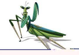 Mantis Kung Fu Panda Kung Fu King Fu Panda