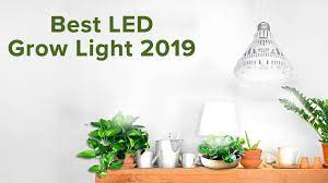 The best grow lights for indoor plants come in different shapes, sizes, brightness, and price. Sansi Indoor Gardening Full Spectrum Led Grow Lights