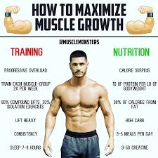 How To Maximize Muscle Growth By Musclemonsters Some People Say Fitness Is 80 Nutrition And 20 Muscle Growth Ectomorph Workout Nutrition Plan Build Muscle