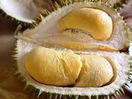 你知道马来西亚最好吃的榴莲在哪里吗 非榴莲党就不必进了 hot dog buns food cheese