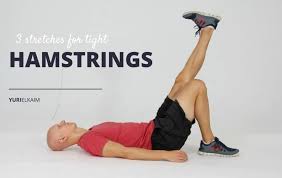 Any of the tendons at the rear hollow of the human knee. 3 Powerful Stretches For Tight Hamstrings Yuri Elkaim