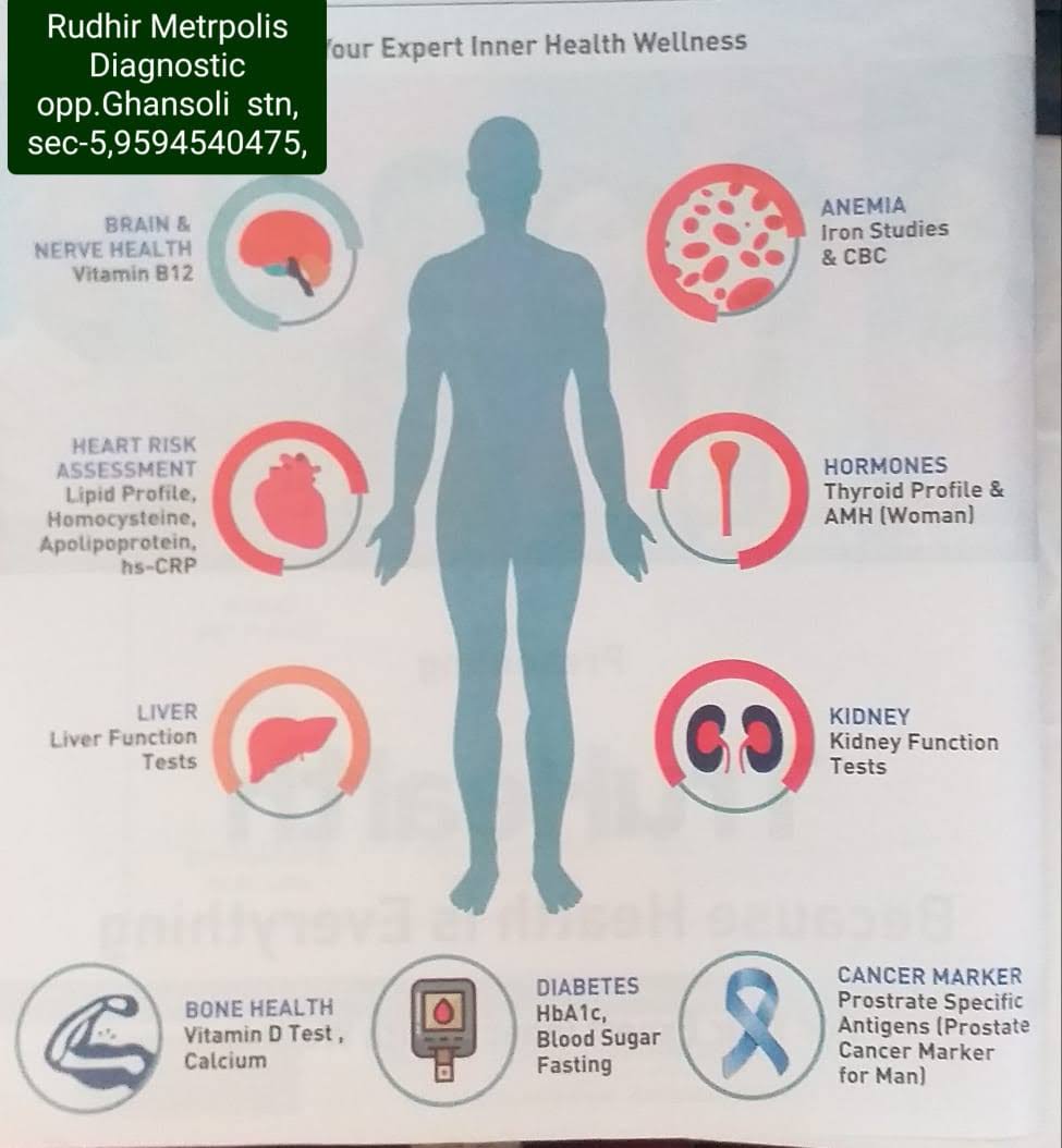 Body organs wise product image