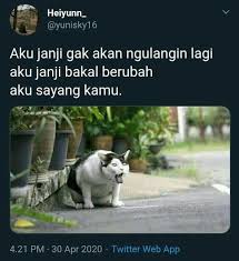 Anjing bercinta dengan hewan lain kocakподробнее. Pin Oleh Xxhello Meee Di Y Humor Lucu Kutipan Humor Lucu