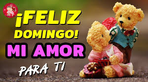 Te Deseo Un Lindo Dia Mi Amor Feliz Domingo Para Ti Con Mucho Cari En 2020 Feliz Domingo Amor Feliz Cartas De Amor Largas