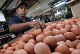 We did not find results for: Harga Telur Dan Ayam Potong Merangkak Naik Republika Online