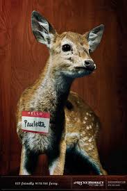 Lucky Monkey Petting Zoo Pauletta Animals Zoo Animals Cute Baby Animals