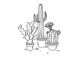 Cactos em forma de t. Black And White Cactus Png Free Black And White Cactus Png Transparent Images 16000 Pngio