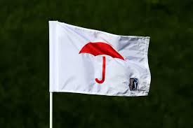 Golf is enjoying surging popularity in the us and hence golf events across the country are also increasing. Pga Tour Travelers Championship 2020 Profile