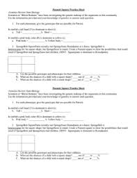 È stata realizzata dal biologo marino e disegnatore stephen hillenburg, e prodotta dalla sua compagnia, la united plankton pictures inc. Genetics Study Guide Answers