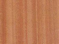 Image result for Nesogordonia