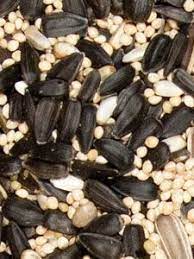 Deluxe Blend Bird Seed 20 Lbs Bird Seed Seeds Wild Birds Unlimited