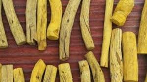 Maybe you would like to learn more about one of these? Mirip Bajakah Akar Kuning Jadi Obat Penyakit Liver Dan Obat Antimalaria Tribun Kalteng