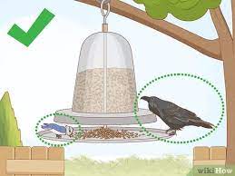As mentioned above, a rock sieve may be overwhelmed and clogged by too. How To Get Rid Of Crows 15 Steps With Pictures Wikihow