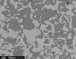 Assessment of grain-scale homogeneity and equilibration of carbon and  oxygen isotope compositions of minerals in carbonate-beari