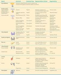 Endocrine System Cheat Sheet Endocrine System Clinical