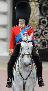 Women S Ros Hommerson Va Va Voom Slide Prince William And Kate Horse Guards Parade Royal