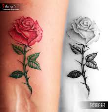 Rose Rose Tattoo Colour Colourtattoo Girl Girlstattoos Awesome Awesometattoo Tattooing Painting Piercing T Creative Tattoos Colour Tattoo Tattoos