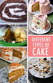 Different Style Birthday Cake Similar Foods A Cakeologist S Field Guide To Every Kind Of Cake Different Types Of Cakes Types Of Cakes Different Cakes