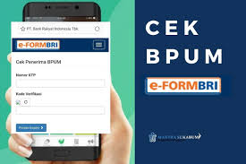 Seperti yang telah diketahui, kementerian koperasi dan ukm mencairkan bantuan presiden produktif usaha mikro (bpum) atau blt umkm sebagai upaya pemulihan ekonomi nasional. Nama Kamu Sudah Masuk Penerima Blt Umkm Rp2 4 Juta Login Ke Eform Bri Co Id Insulteng
