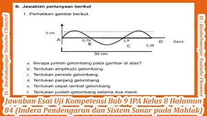 Soal ipa kelas 8 semester 2 halaman 160. Soal Tentang Indera Pendengaran Kls 8 Semester 2 Jawabanku Id