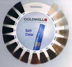 Goldwell In 2019 Hair Color Beige Blonde Hair Beauty __cat__