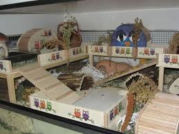 Wie groß soll der stall werden? Nagerhutte 160 X 65 X 65 Fur Mcgee Gehegevorstellung Hamster Gehege Hamster Ideen Hamster