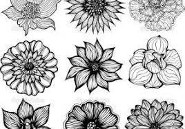 Draw Different Flower Black And White Pictures Of Flowers To Print Free Google Search Flower Drawing Different Flowers Flower Pictures
