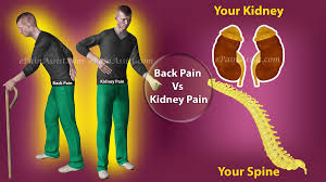Pin On Health Fitness And Safety
