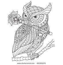 Pin On Owls