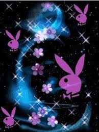 Its great to see older pictures of the girls before i become a playboy bunny in 1979 at the manchester club despite common misconceptions our working life was very strict and respectable i loved it worked there for 2 yrs whilst i was married i was. Playboy Bunny