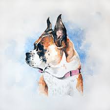 Check spelling or type a new query. Watercolor Pet Portraits On Behance