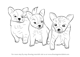 Pictures of puppies to draw. Learn How To Draw Puppies Dogs Step By Step Drawing Tutorials