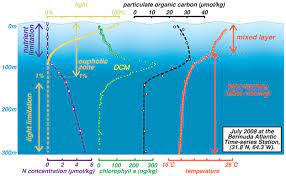 The Biological Productivity Of The Ocean Learn Science At Scitable