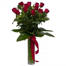Maybe you would like to learn more about one of these? 12 Extra Long Stem Red Roses In Vase