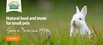 Shop chewy for the best pet supplies ranging from pet food, toys and treats to litter, aquariums, and pet supplements plus so much more! The Pet Express Online Pet Shop Over 18 000 Great Pet Products
